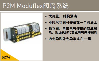 P2M moduflex閥導系統(tǒng)